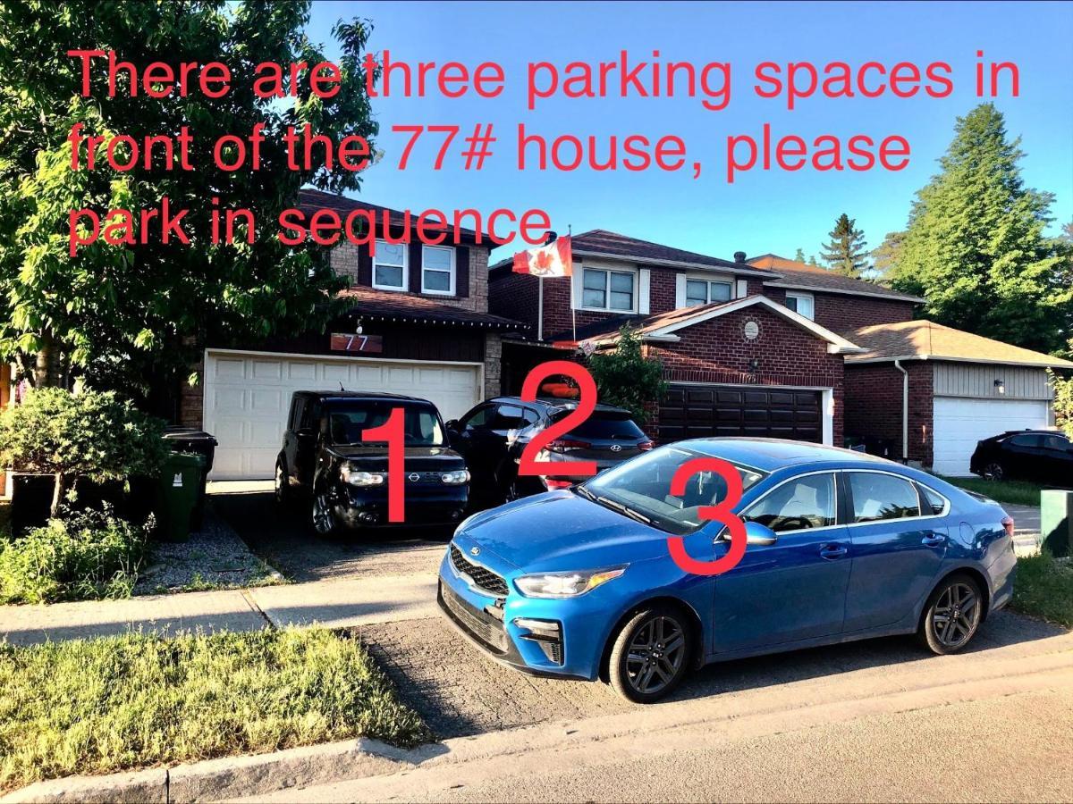 77 Nice And Warm Series Rooms טורונטו מראה חיצוני תמונה